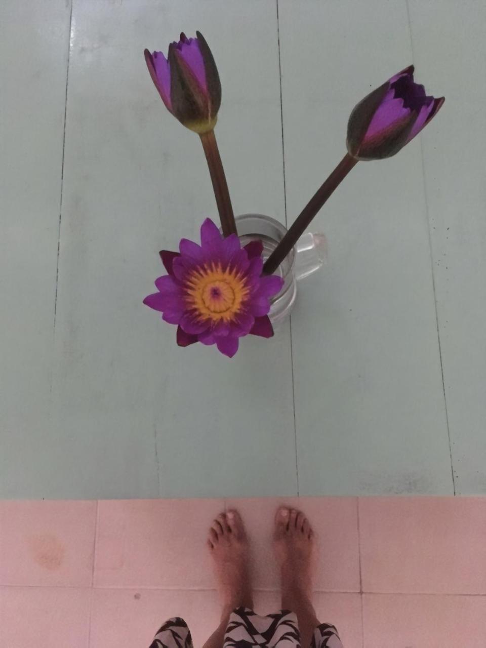 Layback Boutique Surf & Yoga Camp Sri Lanka Hostel Weligama Bagian luar foto