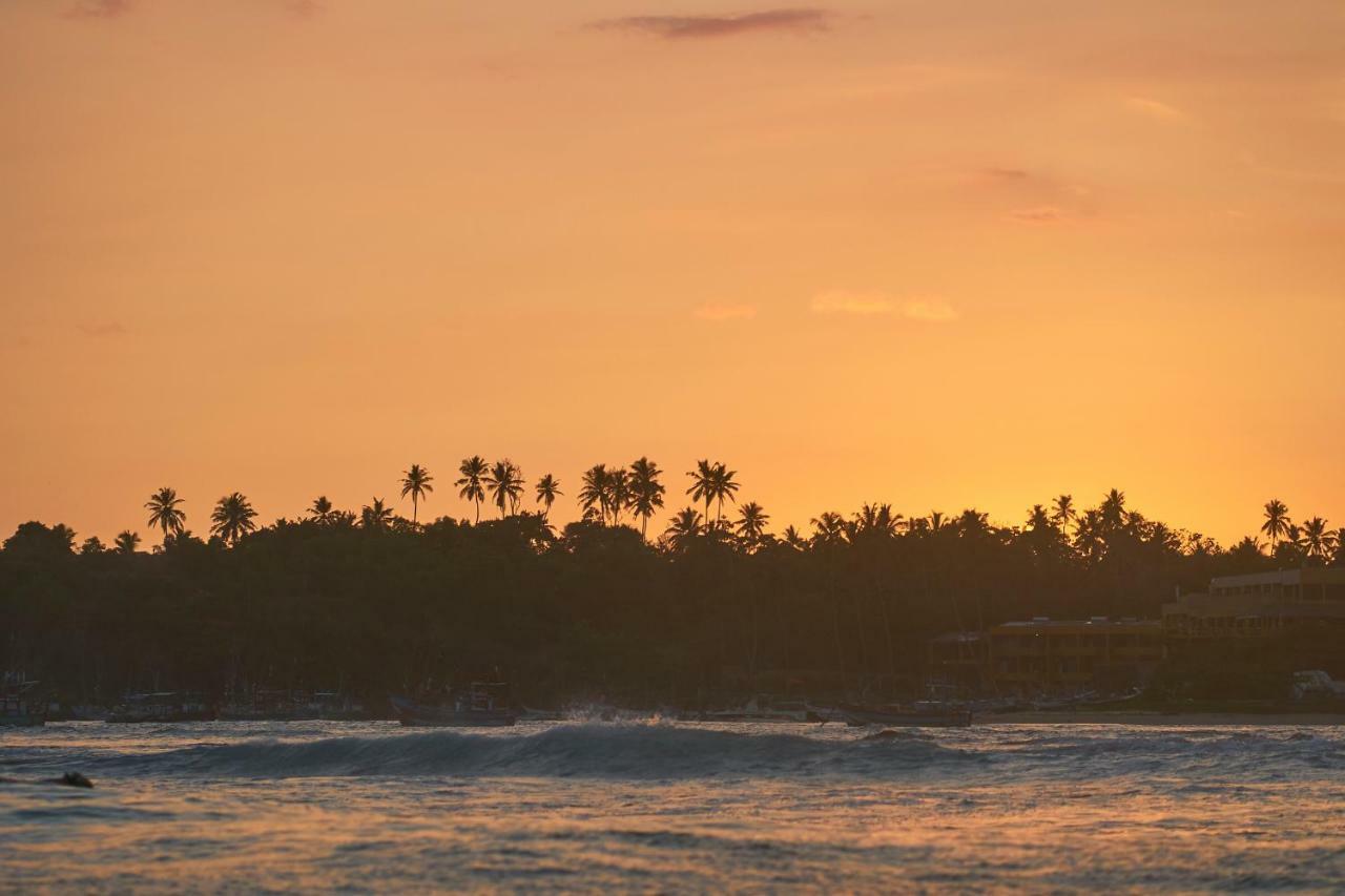 Layback Boutique Surf & Yoga Camp Sri Lanka Hostel Weligama Bagian luar foto