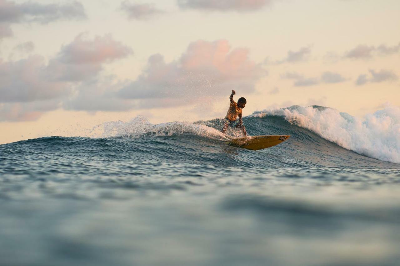 Layback Boutique Surf & Yoga Camp Sri Lanka Hostel Weligama Bagian luar foto